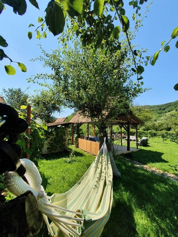 Valchid Guest House Esterno foto