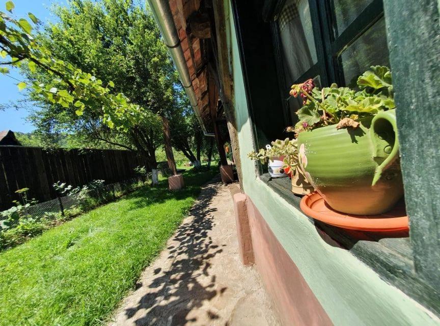 Valchid Guest House Esterno foto