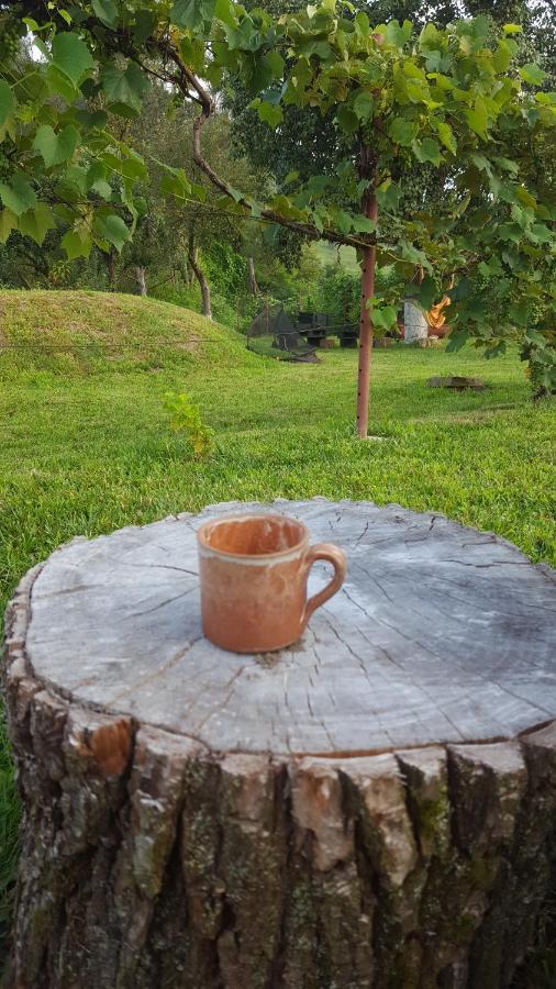 Valchid Guest House Esterno foto